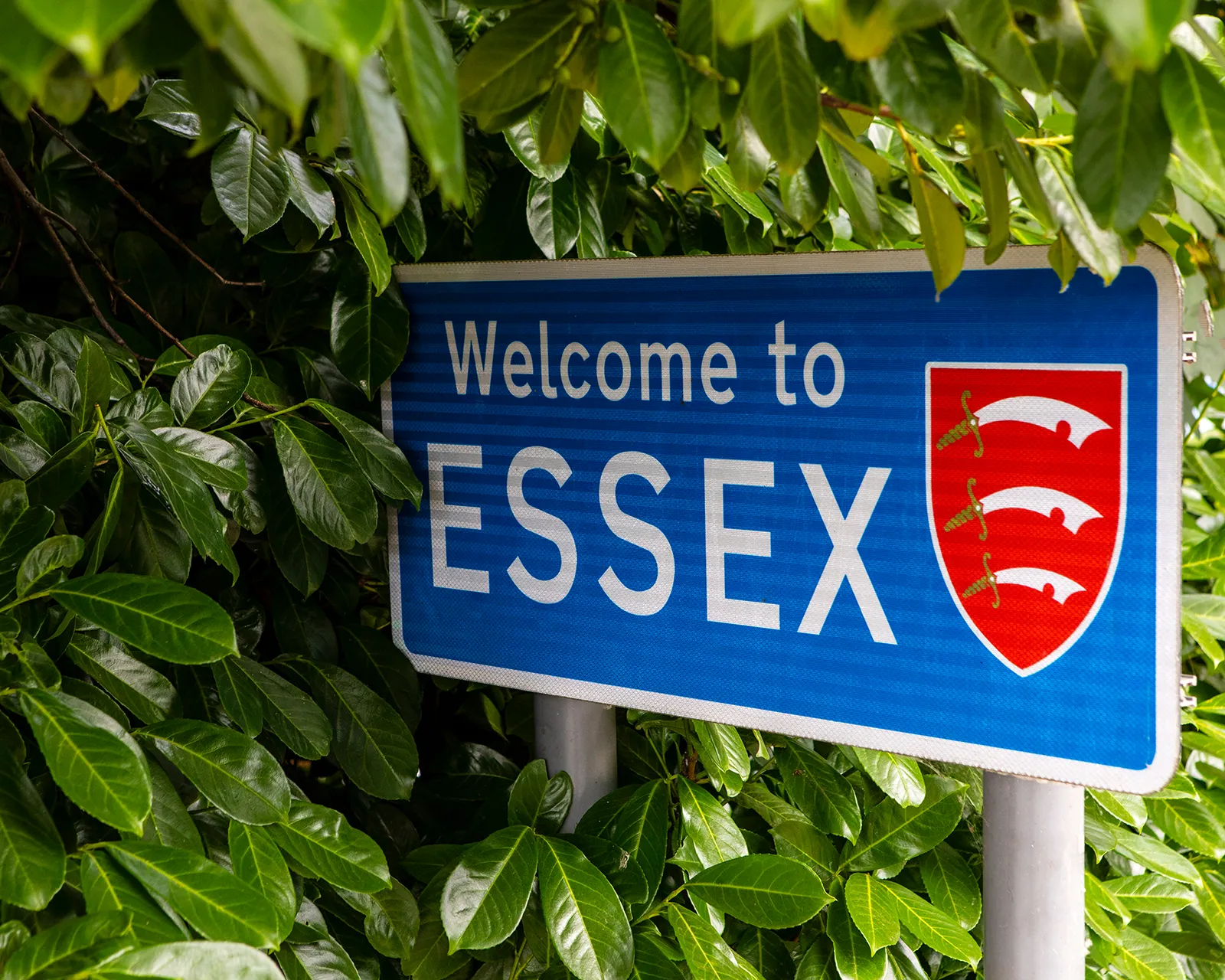 Housing Disrepair Claims in Essex