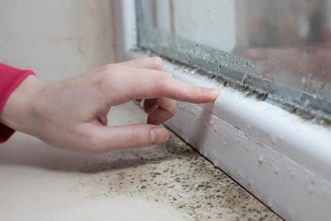 How to identify different types of damp